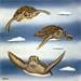 Peinture Flying turtles par Trevisan Carlo | Tableau Huile