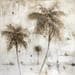 Peinture White palms par Solveiga | Tableau Figuratif Paysages Nature Huile Acrylique